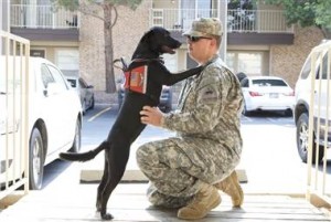 120503-ptsd-dogs-hilson-bcol-11a.380;380;7;70;0